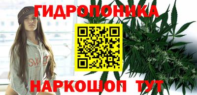 apvp Дубна