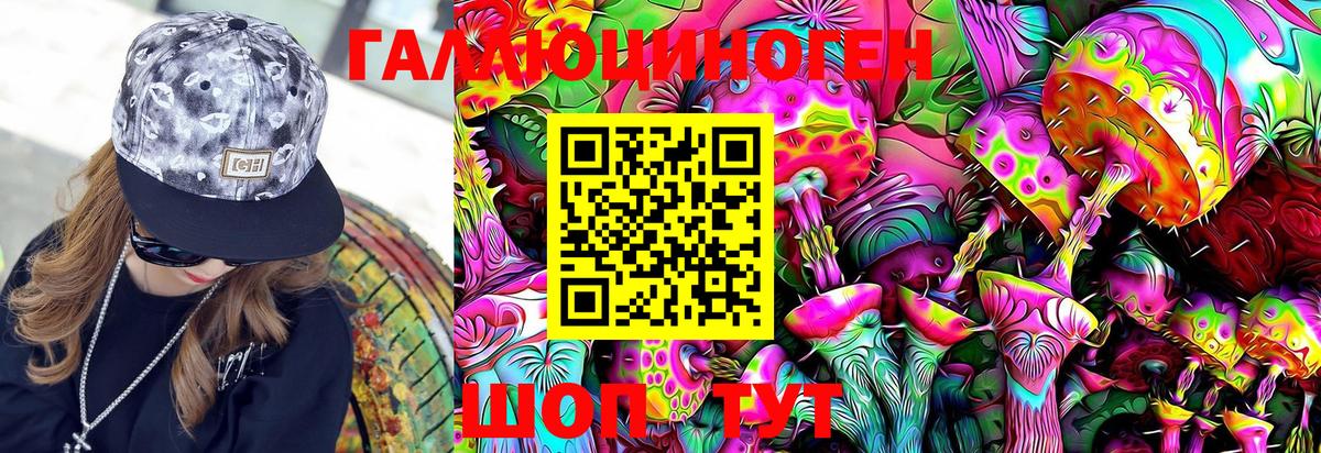 Псилоцибиновые грибы GOLDEN TEACHER Нижний Новгород