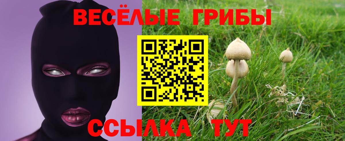 Галлюциногенные грибы GOLDEN TEACHER  Вход с VPN  Нижний Новгород 
